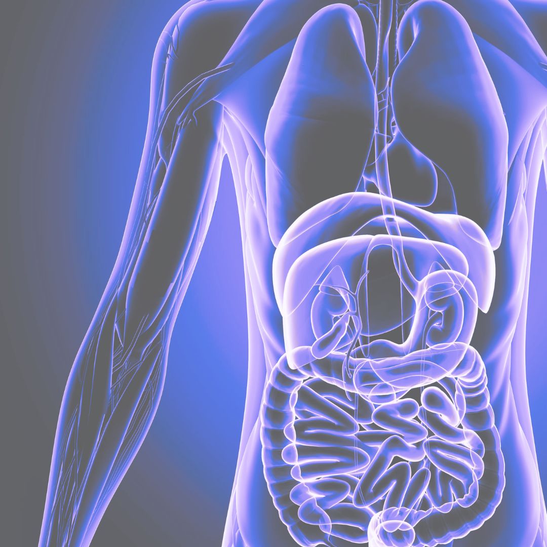 Photo inspiration: Visual Reference: Factors That Impact Your Natural Digestive Enzymes